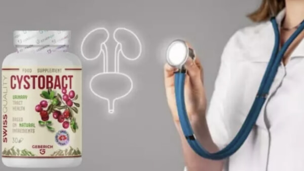 Hur tar man Cystobact – bruksanvisning, dosering och bipacksedel Hur tar man Cystobact – bruksanvisning, dosering och bipacksedel