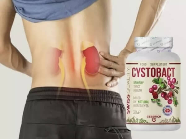 CystoBact Kapslar Sverige - Pris Omdöme Ingredienser